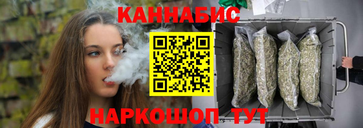 Бошки Шишки планчик Тавда